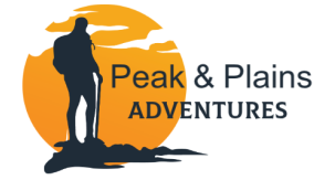 Logo2